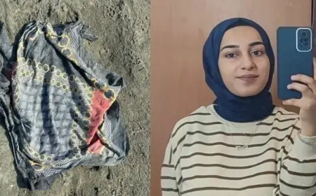 Rojin Kabaiş soruşturmasında yeni gelişme: 415 kişiden DNA örneği alındı