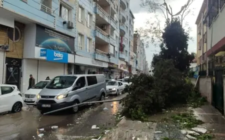 Birecik ve Viranşehir’de fırtına: 1 ölü, 40 yaralı