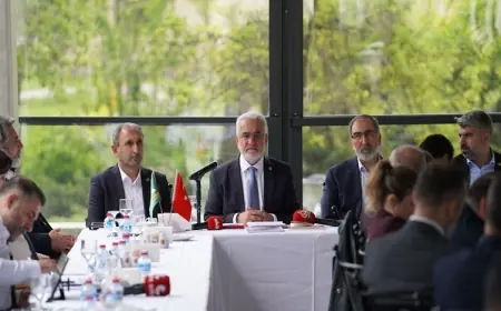 Yapicioglu: Divê ji bo kesên ku çekan datînin yasa werin guherîn
