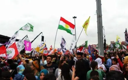 Kürtler Ne Yapıyor Gülizer?