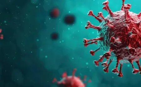 İtalya’da 4 kişi hantavirüs şüphesiyle karantinada