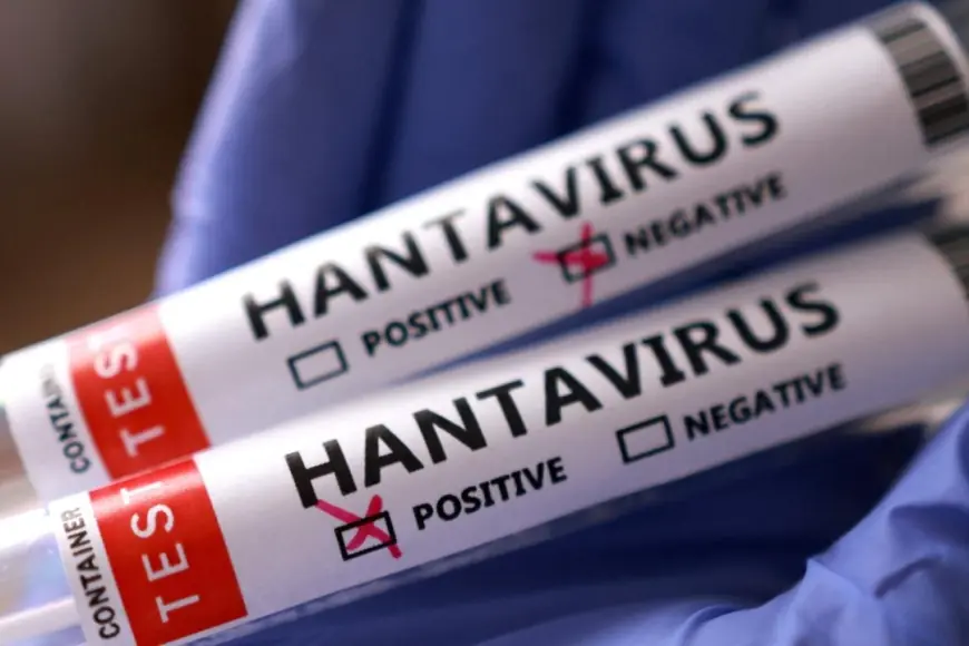Sağlık Bakanlığından 'hantavirüs' açıklaması: Gemiden getirilen vatandaşların test sonuçları belli oldu
