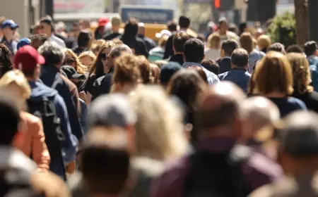16 İlde Kürt Seçmen Anketi: Yüzde 15 Oy Kullanmayacak