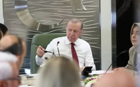 Erdoğan'dan silah bırakma ve yasal düzenleme açıklaması