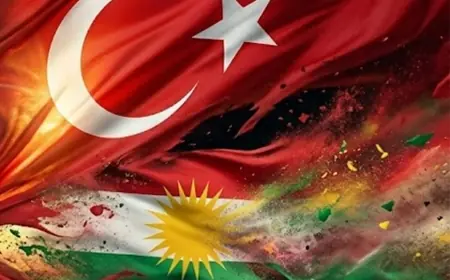 Maşallah Erdoğan: Barış Süreci mi yoksa kontrollü entegrasyon mu?