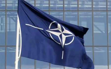 Körfez ülkeleri NATO zirvesine katılmaya hazırlanıyor