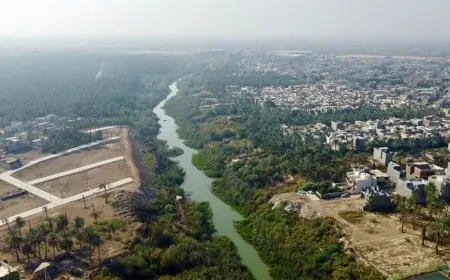 Rapor: Diyala’daki Kürt nüfusu 20 yılda yüzde 20 geriledi