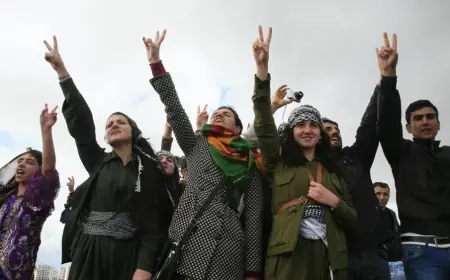 Diliman Abdulkader: ABD Kürt İşleri Özel Temsilcisi Atamalı