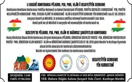 Li Qoserê Konferansa PÊLKURD, PSK, PWK, Vejîn û Kesayetîyên Serbıxwe
