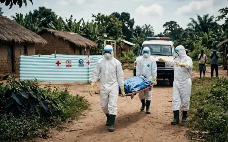 DSÖ'den Ebola uyarısı: Virüsü kontrol edemiyoruz