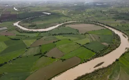 Bitlis ve Muş Arasındaki İl Sınırı Yeniden Çizildi!
