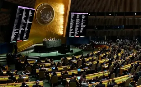 Kürtler için BM’de gözlemci statüsü girişimi