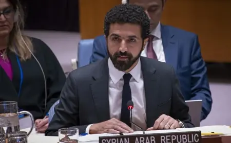 Suriye'den Hol ve Roj kampları için uluslararası çağrı: Ülkeler vatandaşlarını geri alsın