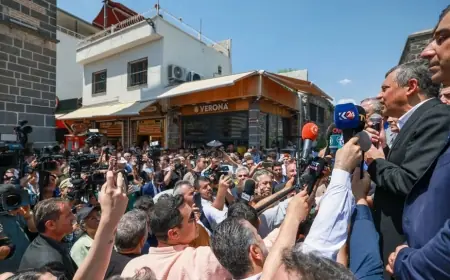 Özgür Özel'den Diyarbakır'da Demirtaş Mesajı