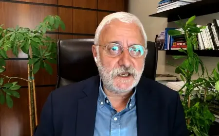 DEM Partili Oluç: Bin kişi silah bıraksa ne olacağı belli değil