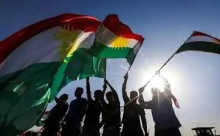 Akademîsyen û lêkolînerên sereke çawa li pirsa Kurd û Kurdistanê dinêrin?