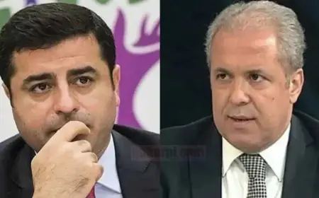 Şamil Tayyar'dan dikkat çeken Demirtaş iddiası: Erdoğan'la uzlaşmalıydık