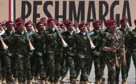 İngiltere: Peşmerge'ye Desteğimiz Devam Edecek