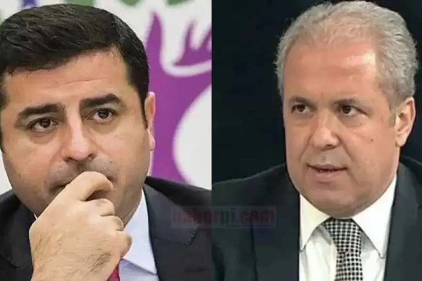 Şamil Tayyar'dan dikkat çeken Demirtaş iddiası: Erdoğan'la uzlaşmalıydık