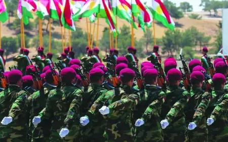 Peşmerge yetkilisinden birleşik ordu açıklaması: 11 tümenlik yapı kurulacak