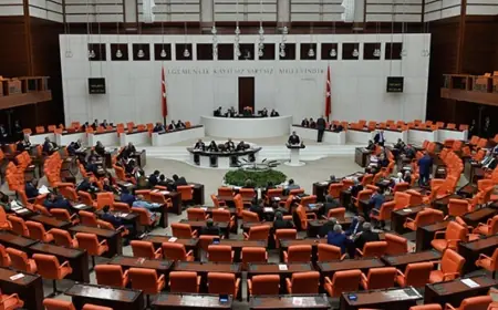 Türkiye'deki siyasi parti sayısı belli oldu