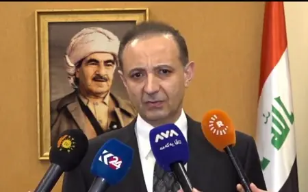 Dilşad Şehab: Tahran'da Kürdistan Bölgesi'nin savaştaki tarafsızlığını vurguladık