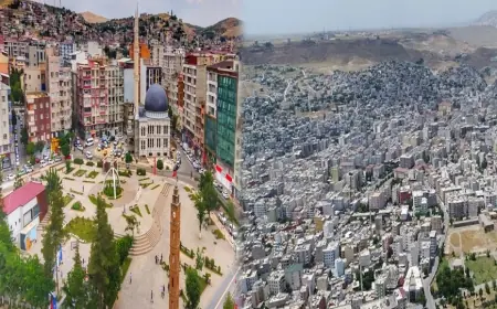 Cizre ve Siirt Gezimde, Kürdistan’da Gördüğüm Toplumsal Felaket!