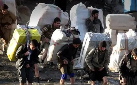 İran'da Kolberlerin Ölüm Yolculuğu Sürüyor: Kurşunlar Can Almaya Devam Ediyor