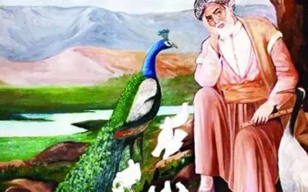 Occo Mahabad: Ezilenlerin Sesi Feqıyê Teyran