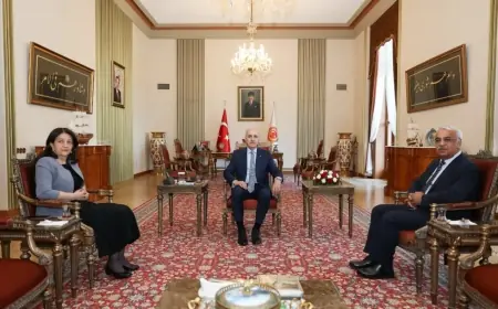 DEM Parti İmralı heyeti Numan Kurtulmuş ve Efkan Ala ile görüşecek