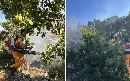 Diyarbakır'da orman yangını