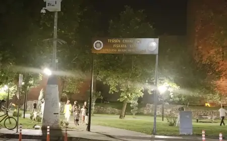 DEM Parti'den Diyarbakır Belediyesi tesisine yönelik saldırıyla ilgili açıklama