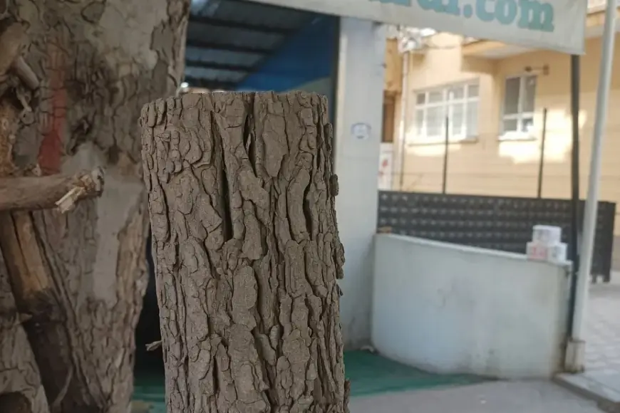 Pirtûka Kurdî li ser Trendyolê ducare dest bi firotinê kir