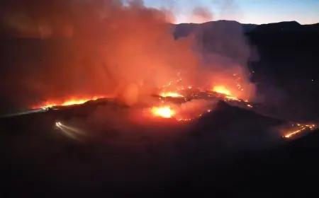 Adıyaman'da korkutan yangın! Alevler ormanlık alana sıçradı