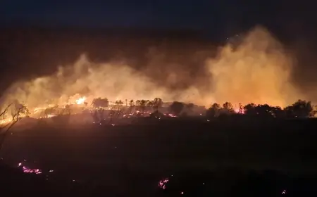 Birçok ilde orman yangını
