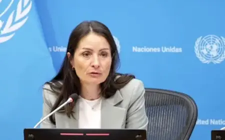 BM Güvenlik Konseyi Başkanı: Suriye'deki Kürtlere vatandaşlık olumlu bir gelişme