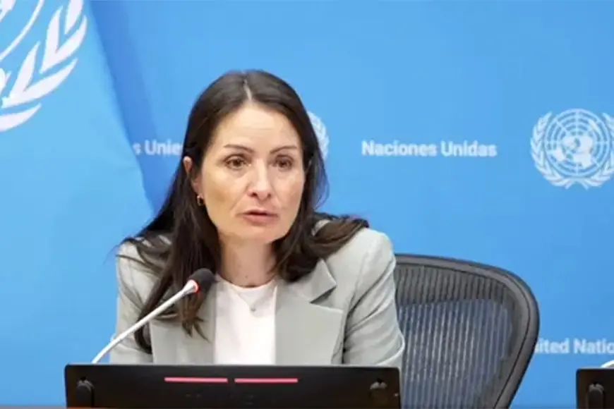 BM Güvenlik Konseyi Başkanı: Suriye'deki Kürtlere vatandaşlık olumlu bir gelişme