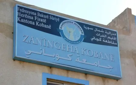 Kobani Üniversitesinde dil krizi: Kürt öğrenciler ana dilde eğitim talep ediyor