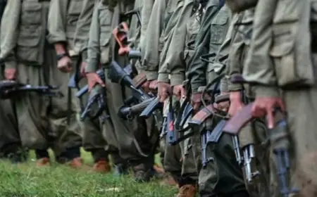 DEM Partili Eren: Çerçeve yasayla 3 bin 900 siyasi tutuklu tahliye edilecek
