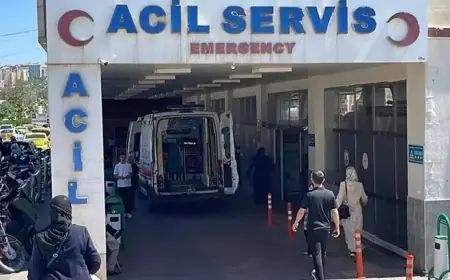 Siverek'te korkunç olay: Yanan araçta 4 çocuk annesinin cesedi bulundu; 4 gözaltı