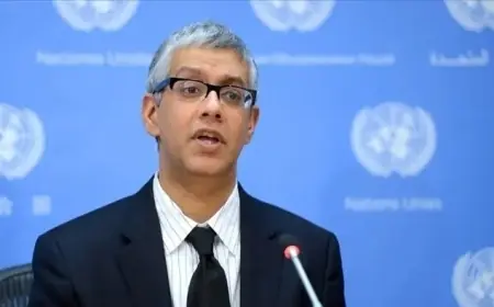 BM'den Türkiye'deki çerçeve yasaya ilişkin açıklama