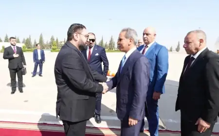 Irak’tan Şam’a IŞİD tutukluları için kritik ziyaret