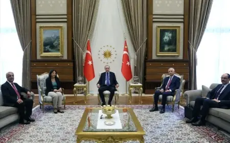 İmralı Heyeti’nden Erdoğan görüşmesine ilişkin açıklama