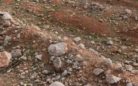 Deyrezzor'da 2 toplu mezar bulundu