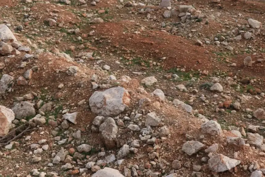 Deyrezzor'da 2 toplu mezar bulundu