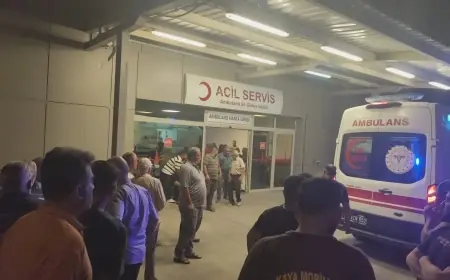 Urfa'da iki otomobil çarpıştı: 3 ölü, 2 yaralı