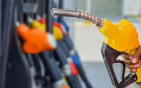 Türkiye'den Kürdistan Bölgesi'ne 50 milyon litre benzin ithal edildi