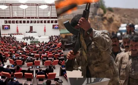 Samer’in çerçeve yasa araştırmasında dikkat çeken sonuç