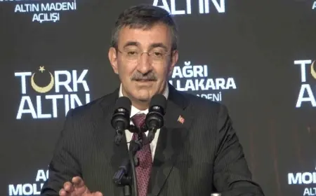Cevdet Yılmaz'dan DSG'nin feshine dair açıklama