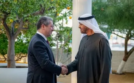 Mesrur Barzani resmi temaslar için BAE’de